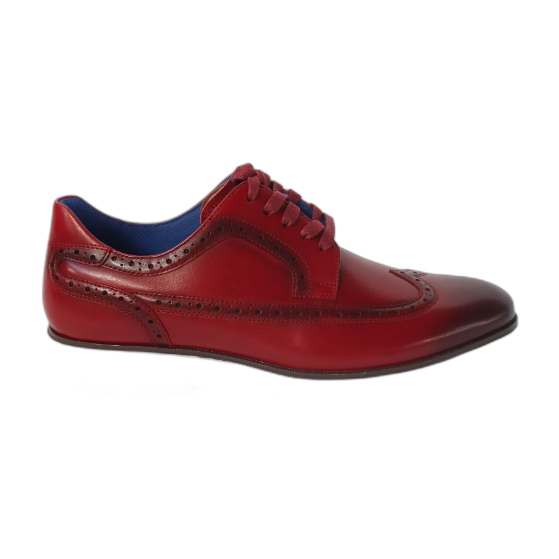 Zenobi Lace up (SCCLZE110)