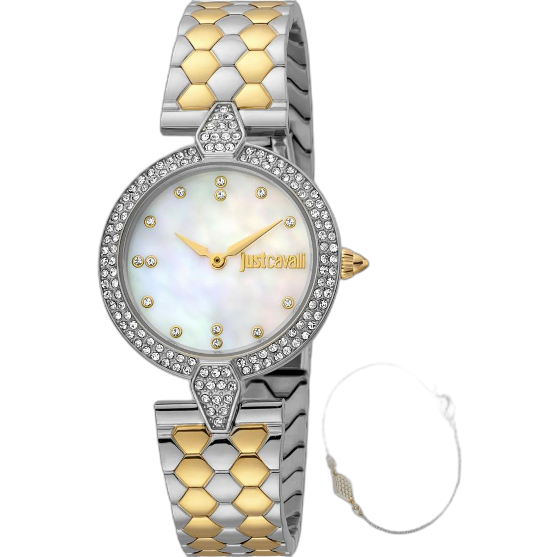 Just Cavalli Watches (JC1L159M)