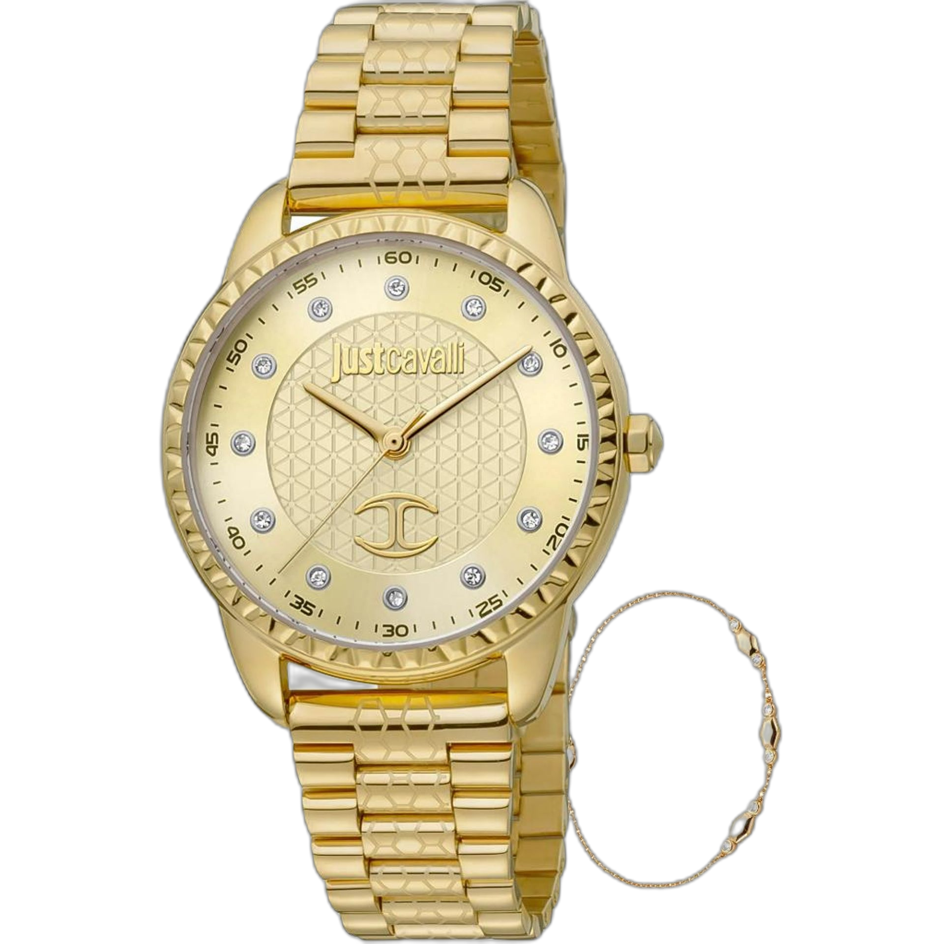 Just Cavalli Watches (JC1L176M)