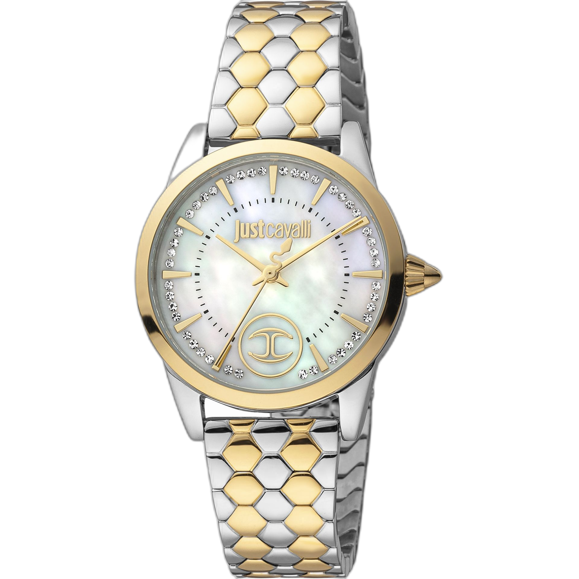 Just Cavalli Watches (JC1L087M)