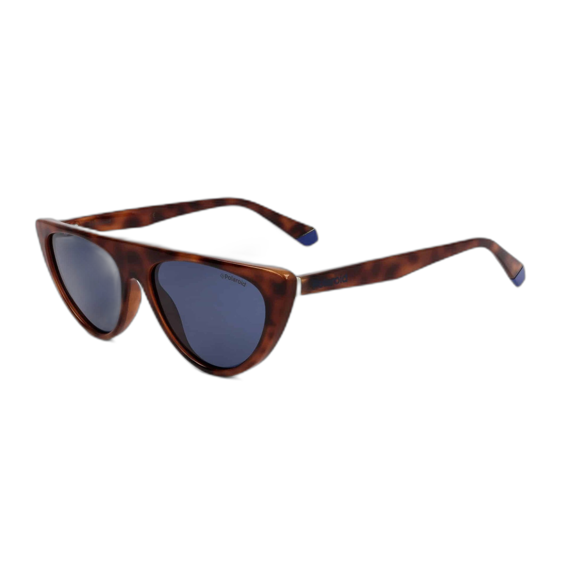 Polaroid Sunglasses (PLD6108S)