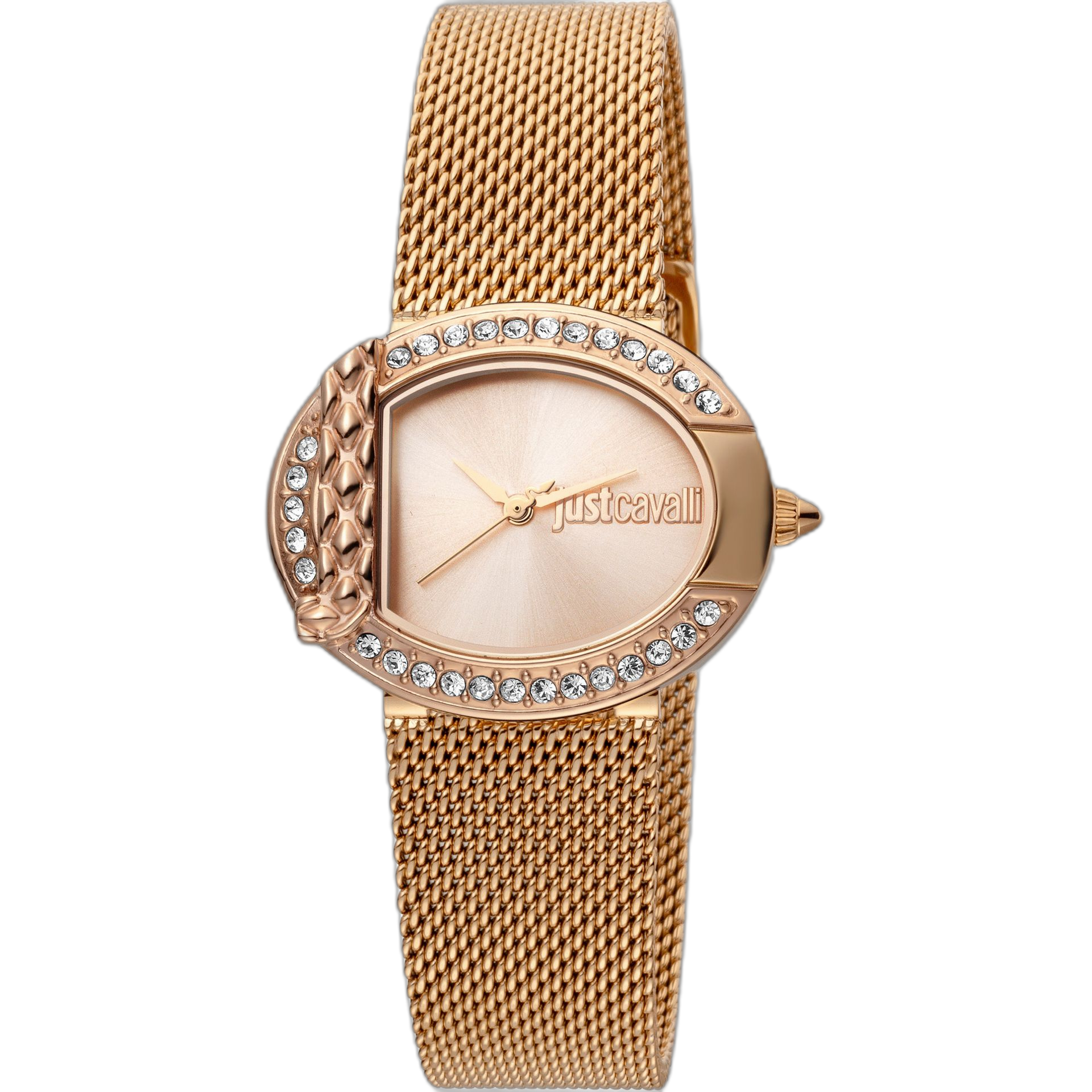 Just Cavalli Watches (JC1L110M0)