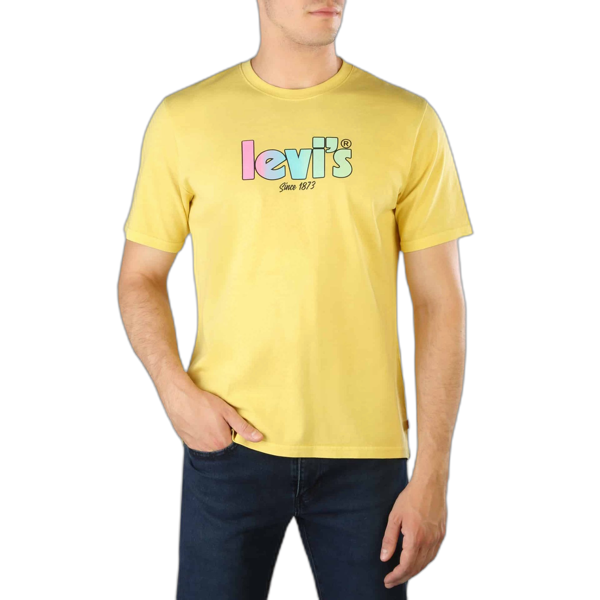 Levis T-shirts (16143)