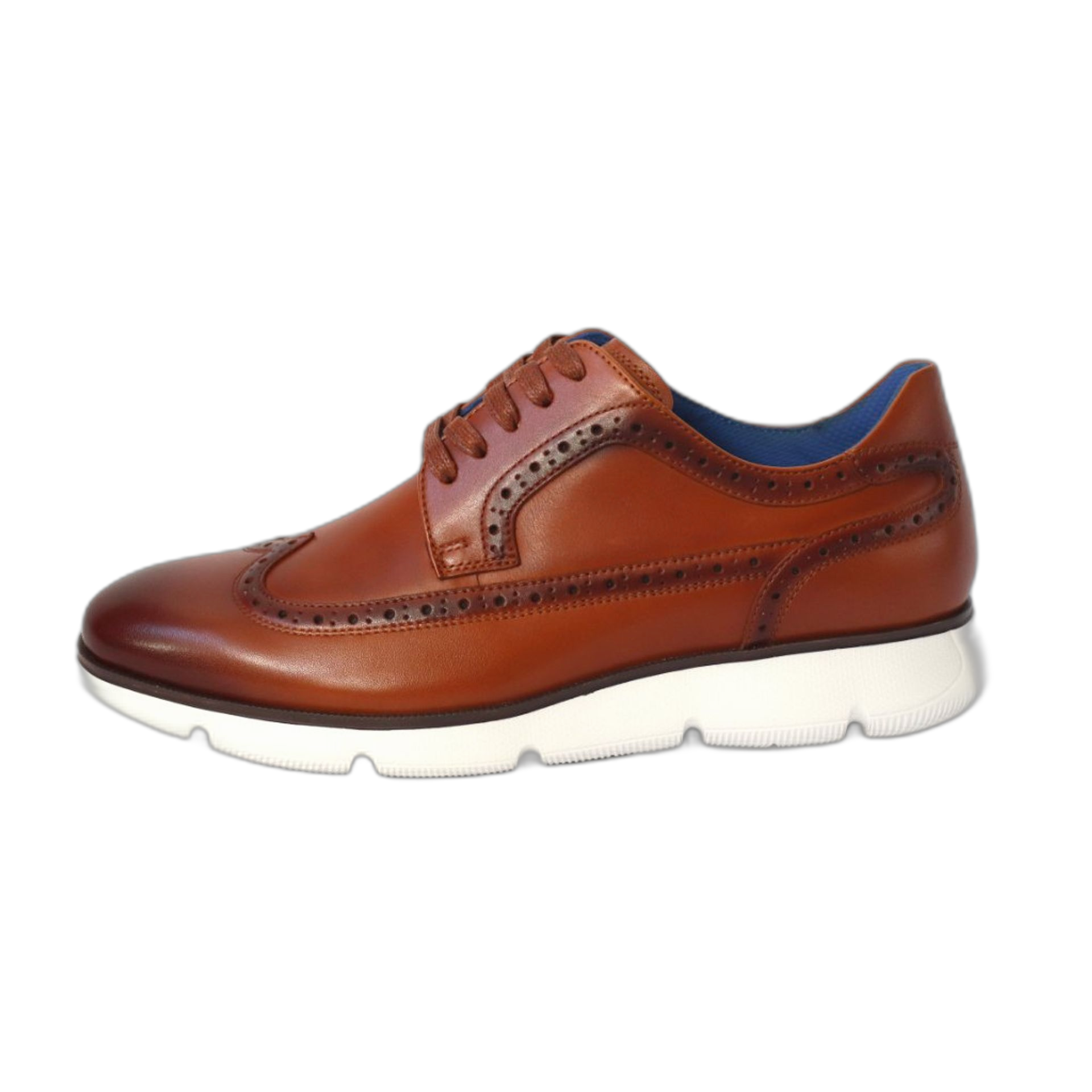 Zenobi Lace up (SCCLZE110)