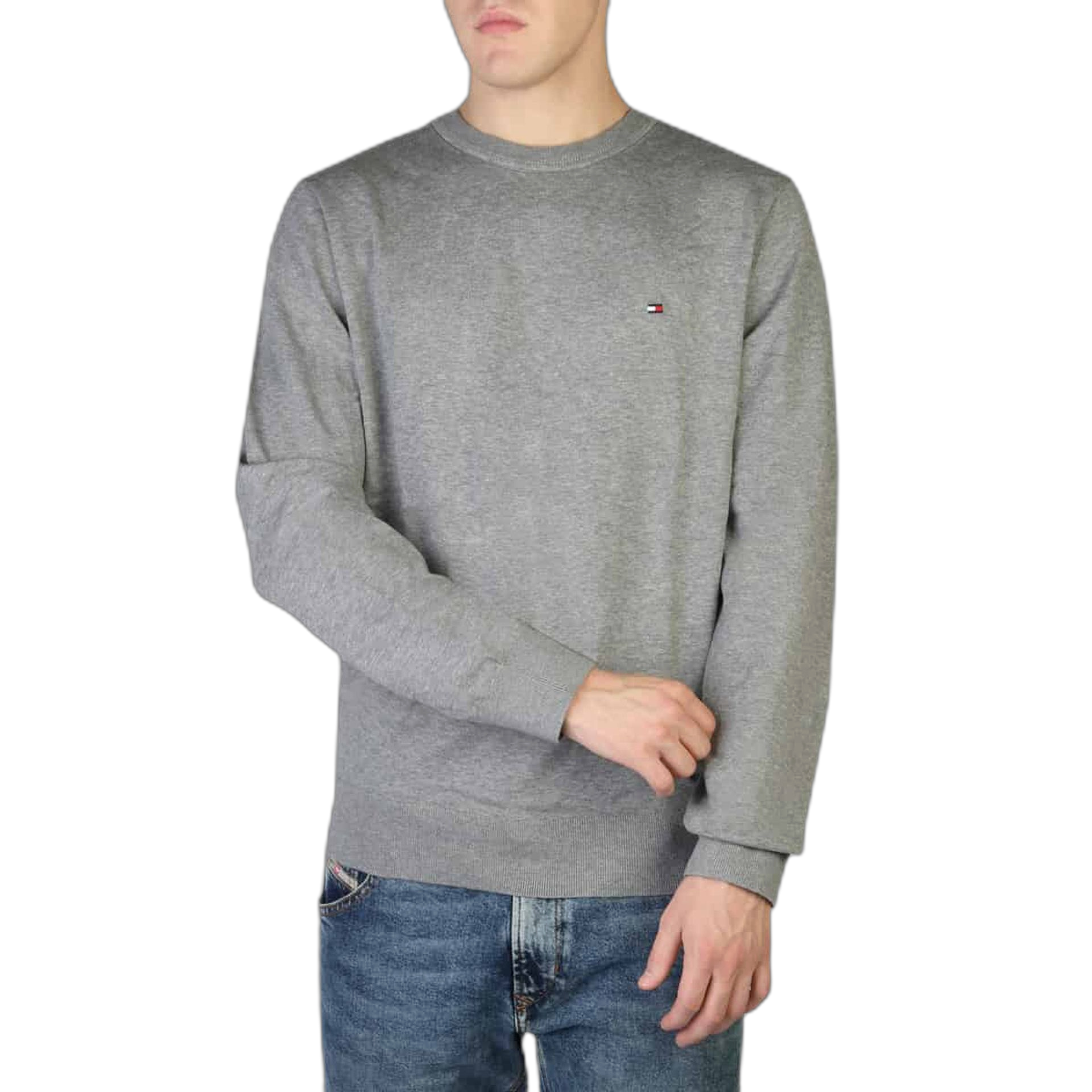 Tommy Hilfiger Sweatshirts (MW0MW21316)