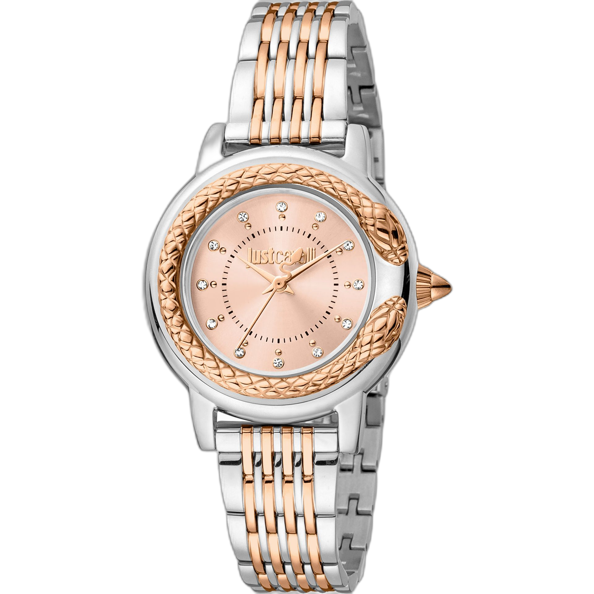 Just Cavalli Watches (JC1L151M)