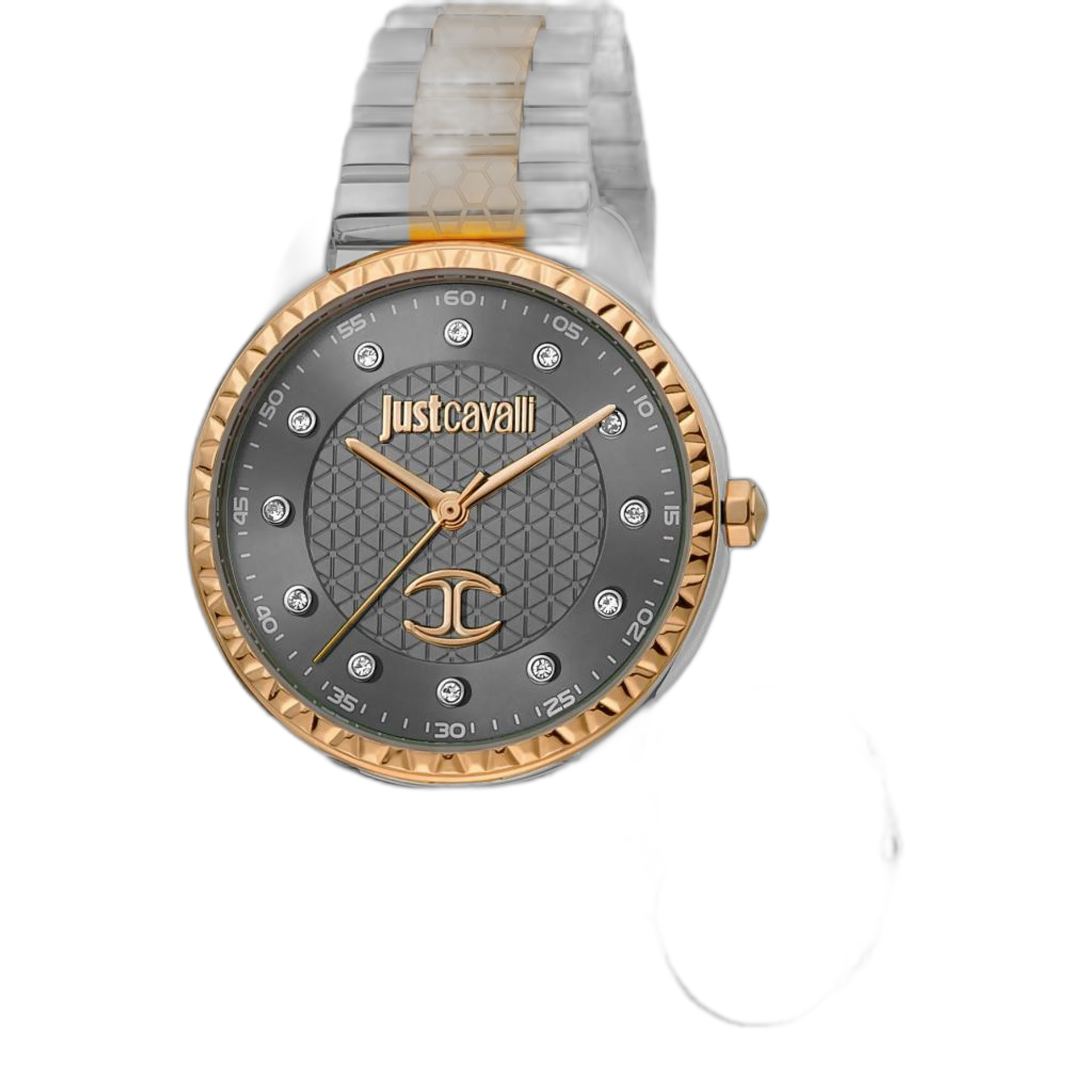 Just Cavalli Watches (JC1L176M)