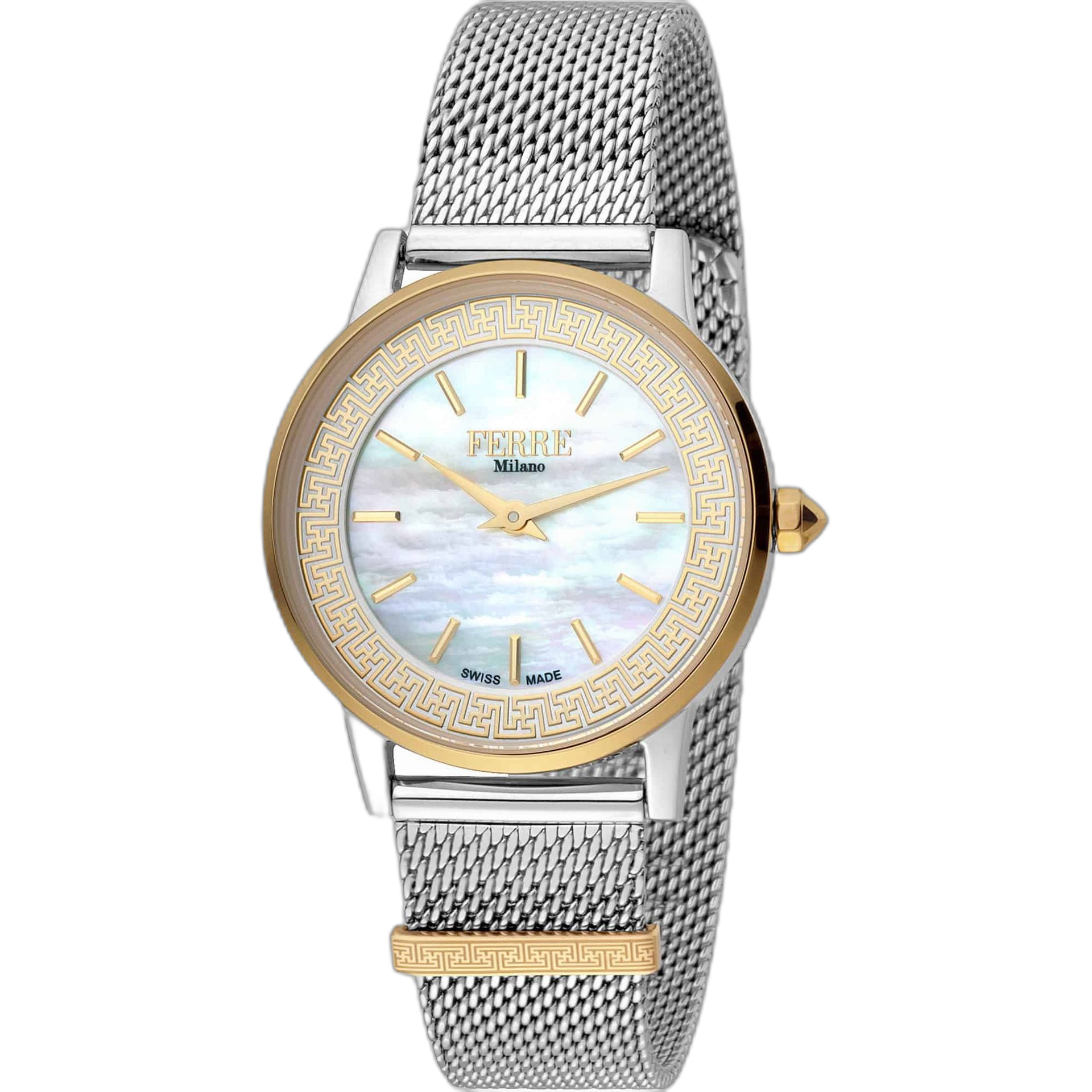 Ferre Milano Watches (FM1L103)