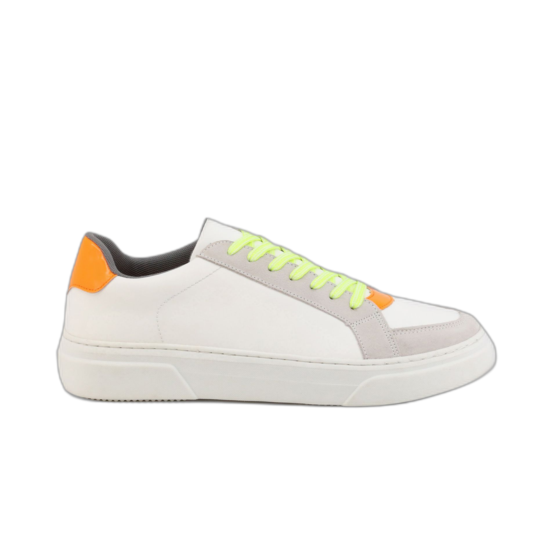 Duca Sneakers (NATHAN)