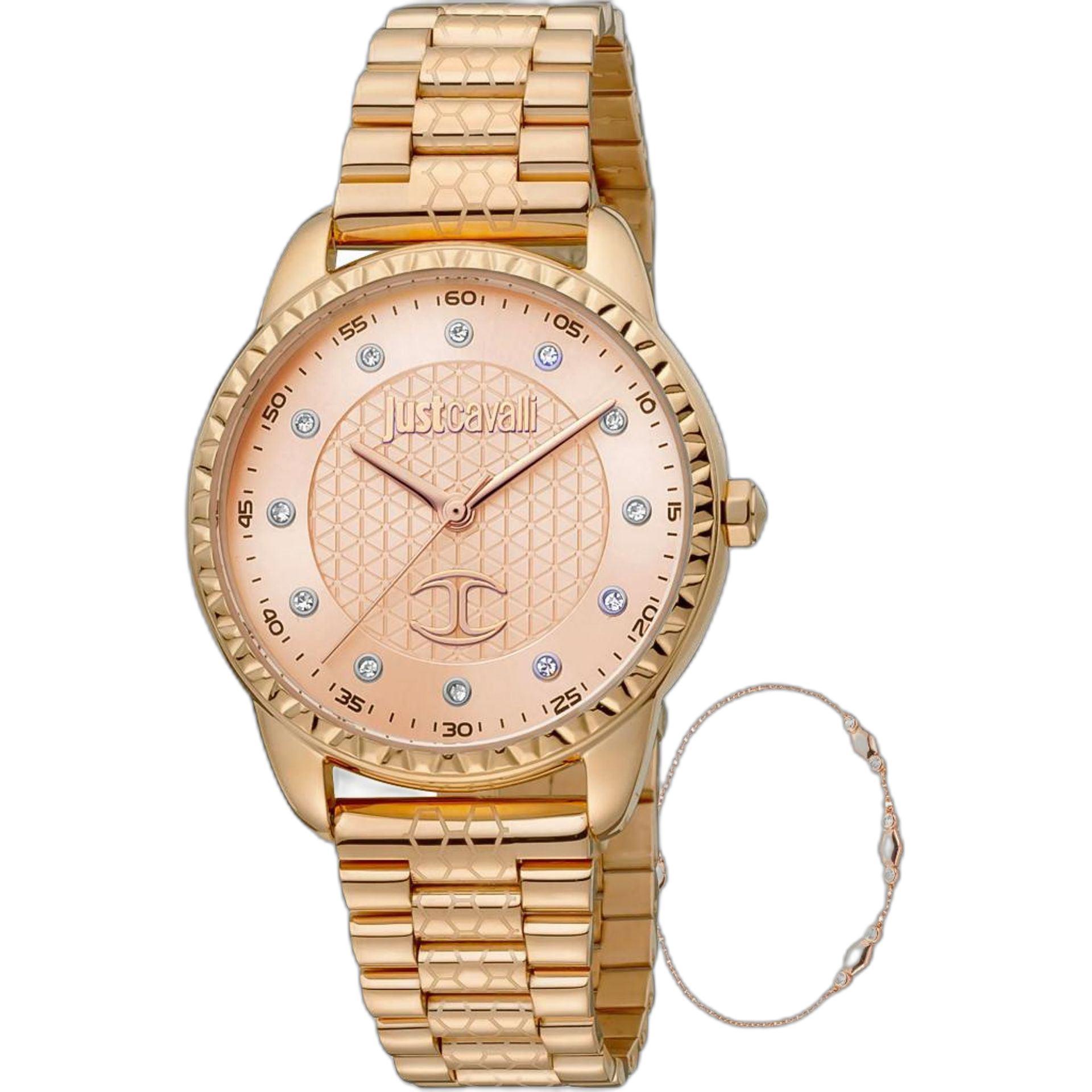Just Cavalli Watches (JC1L176M)