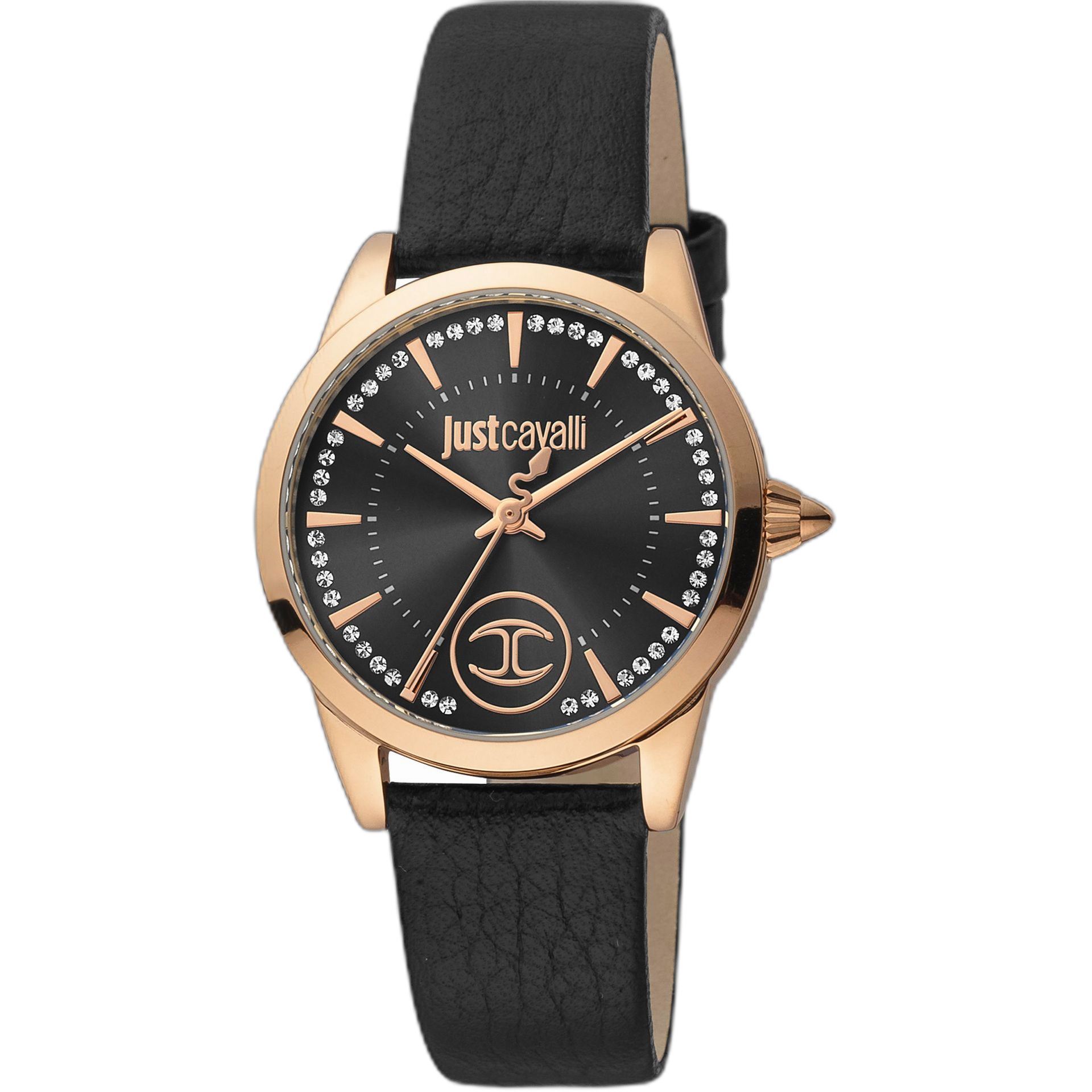 Just Cavalli Watches (JC1L087L0)