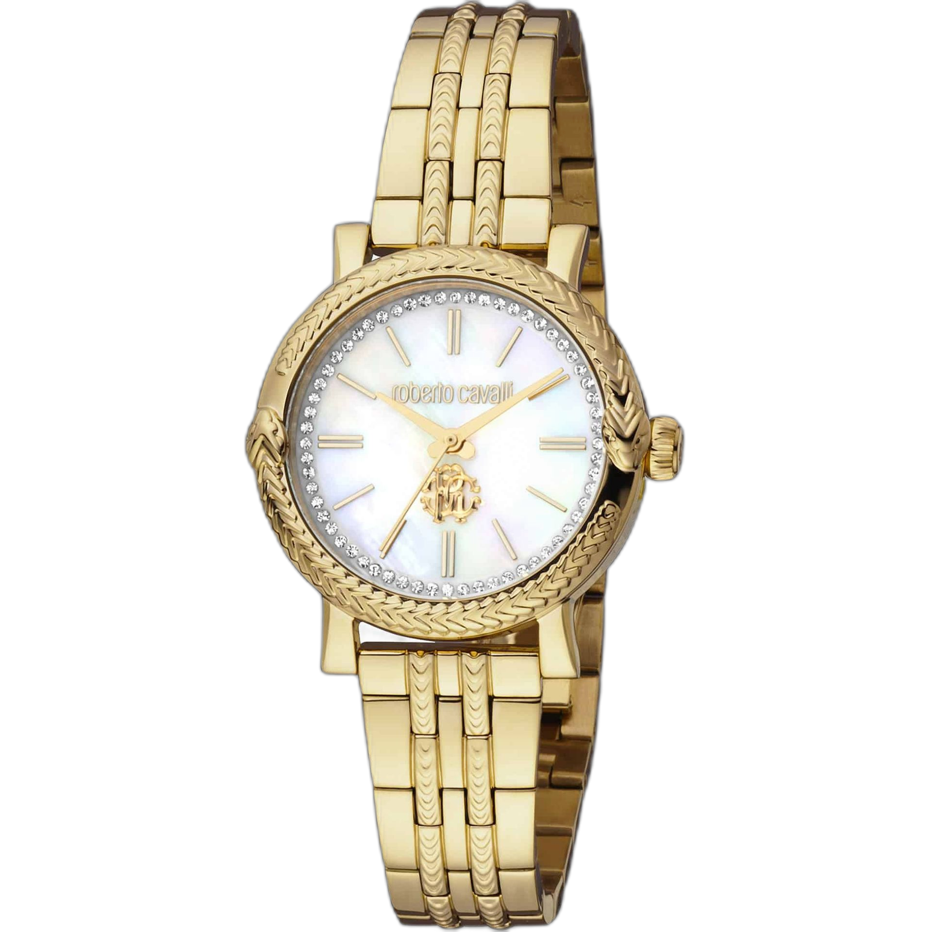 Roberto Cavalli Watches (RC5L019M)
