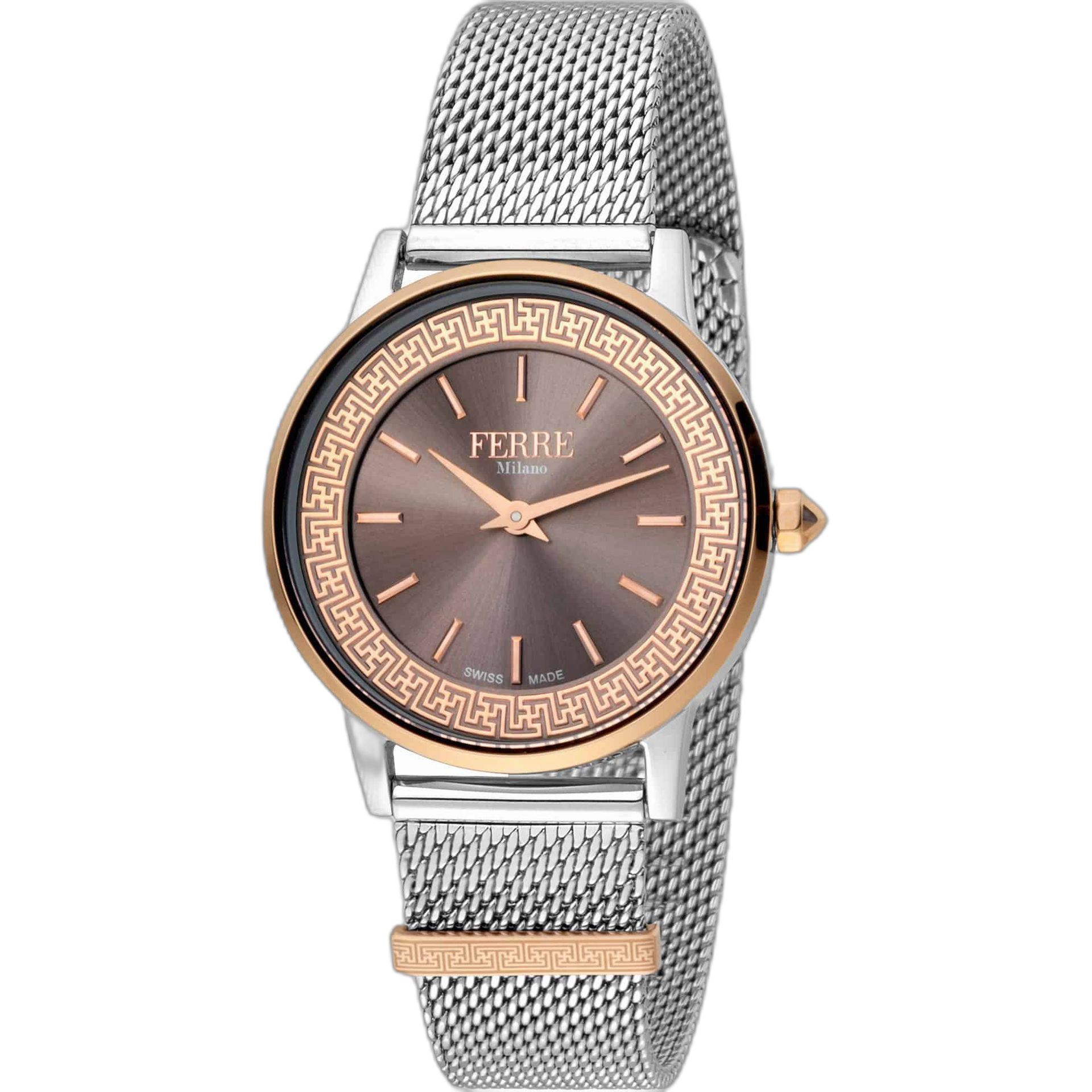 Ferre Milano Watches (FM1L103)