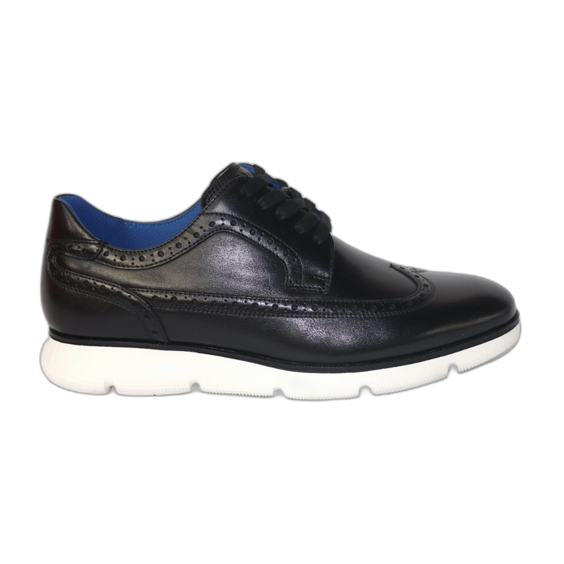 Zenobi Lace up (SCCLZE110)