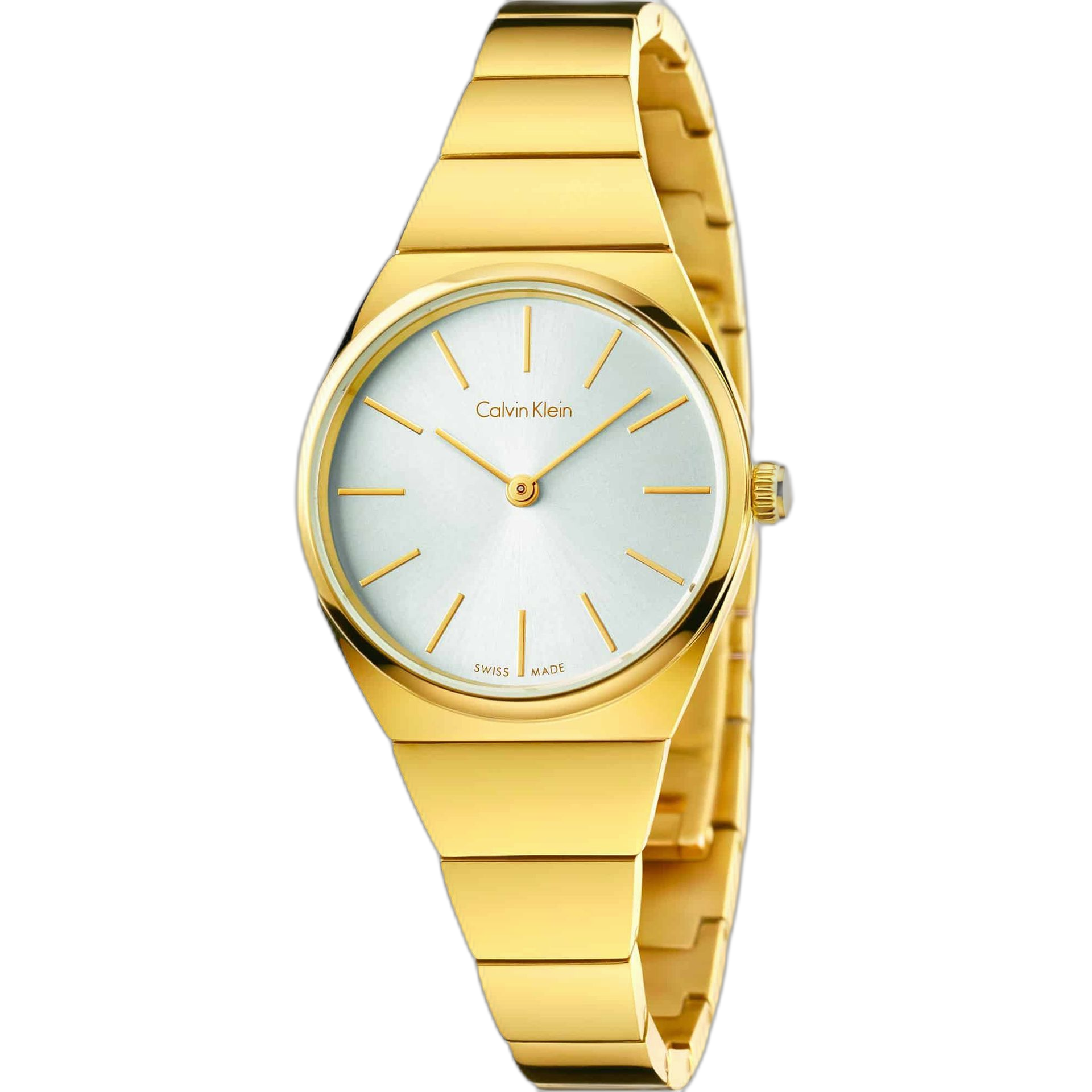 Calvin Klein Watches (K6C23)