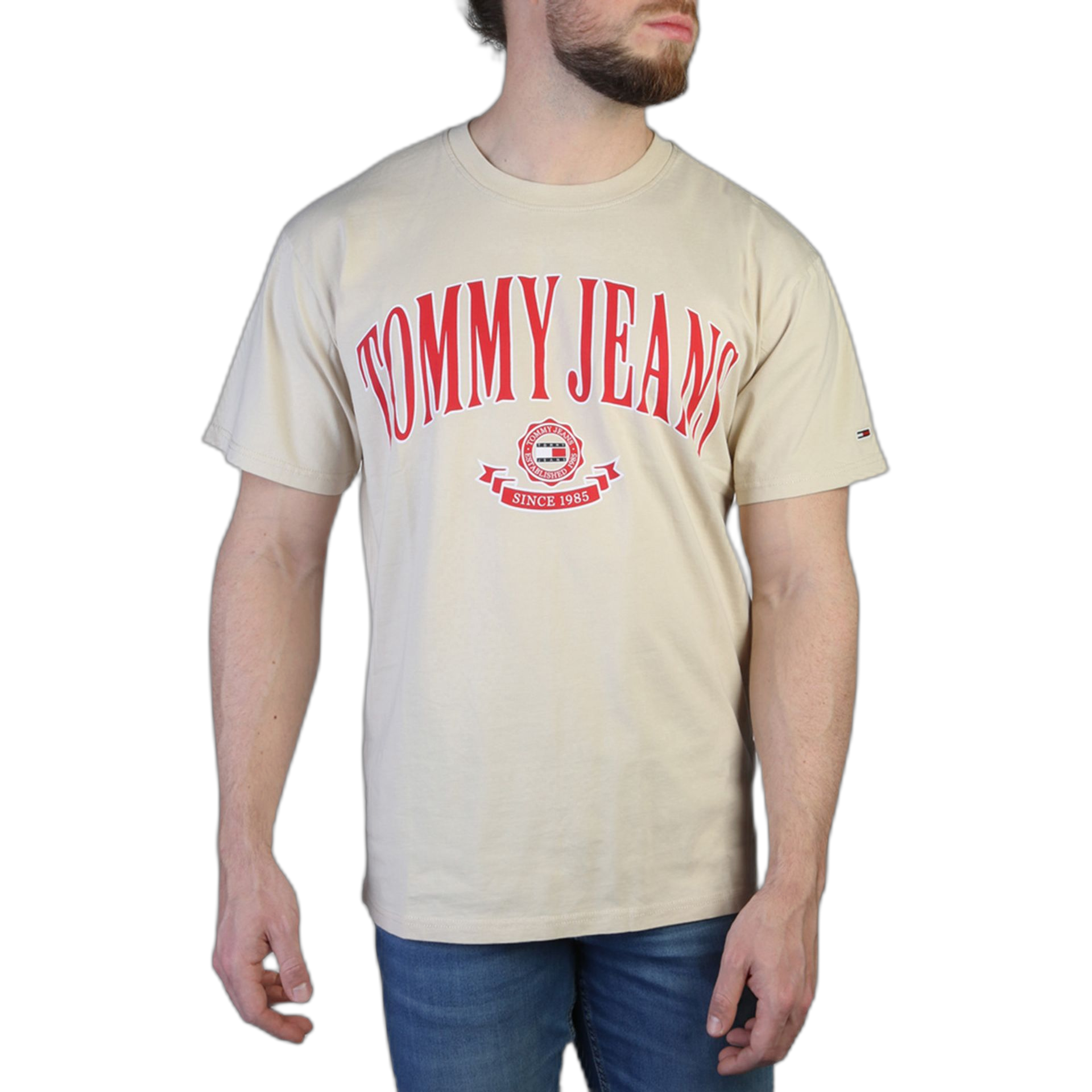 Tommy Hilfiger T-shirts (DM0DM16400)
