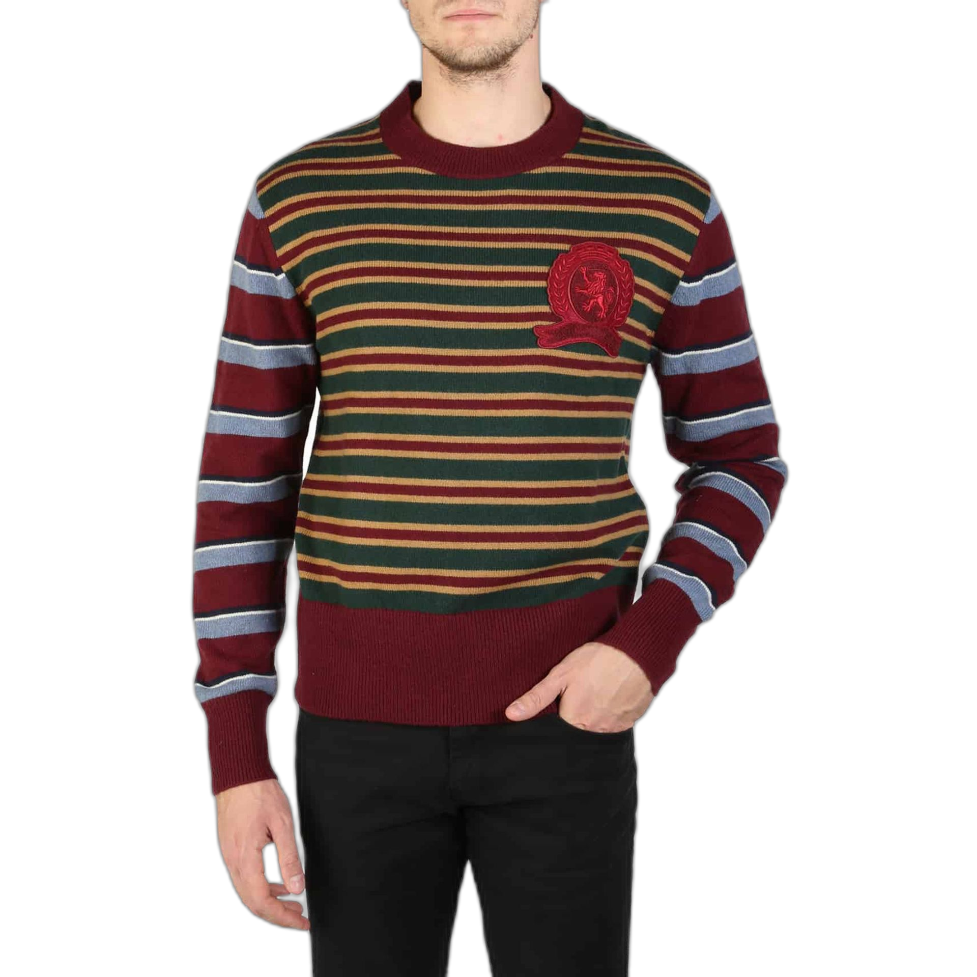 Tommy Hilfiger Sweaters (RE0RE00372)