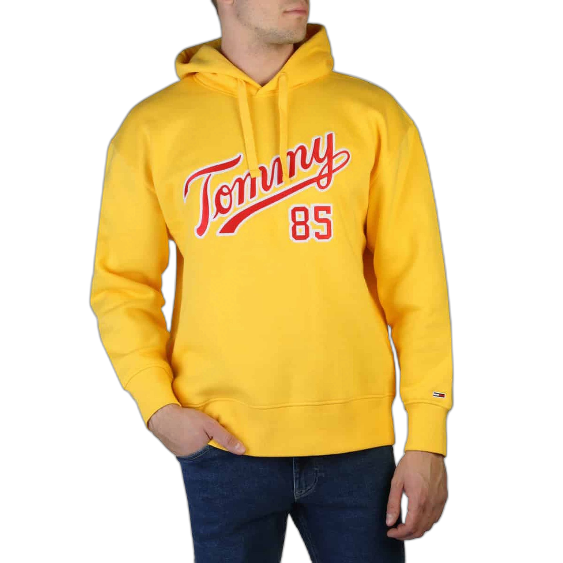 Tommy Hilfiger Sweatshirts (DM0DM15711)