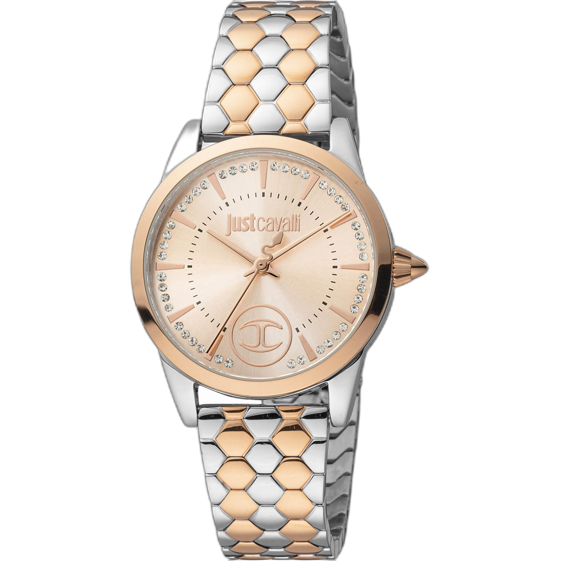 Just Cavalli Watches (JC1L087M)