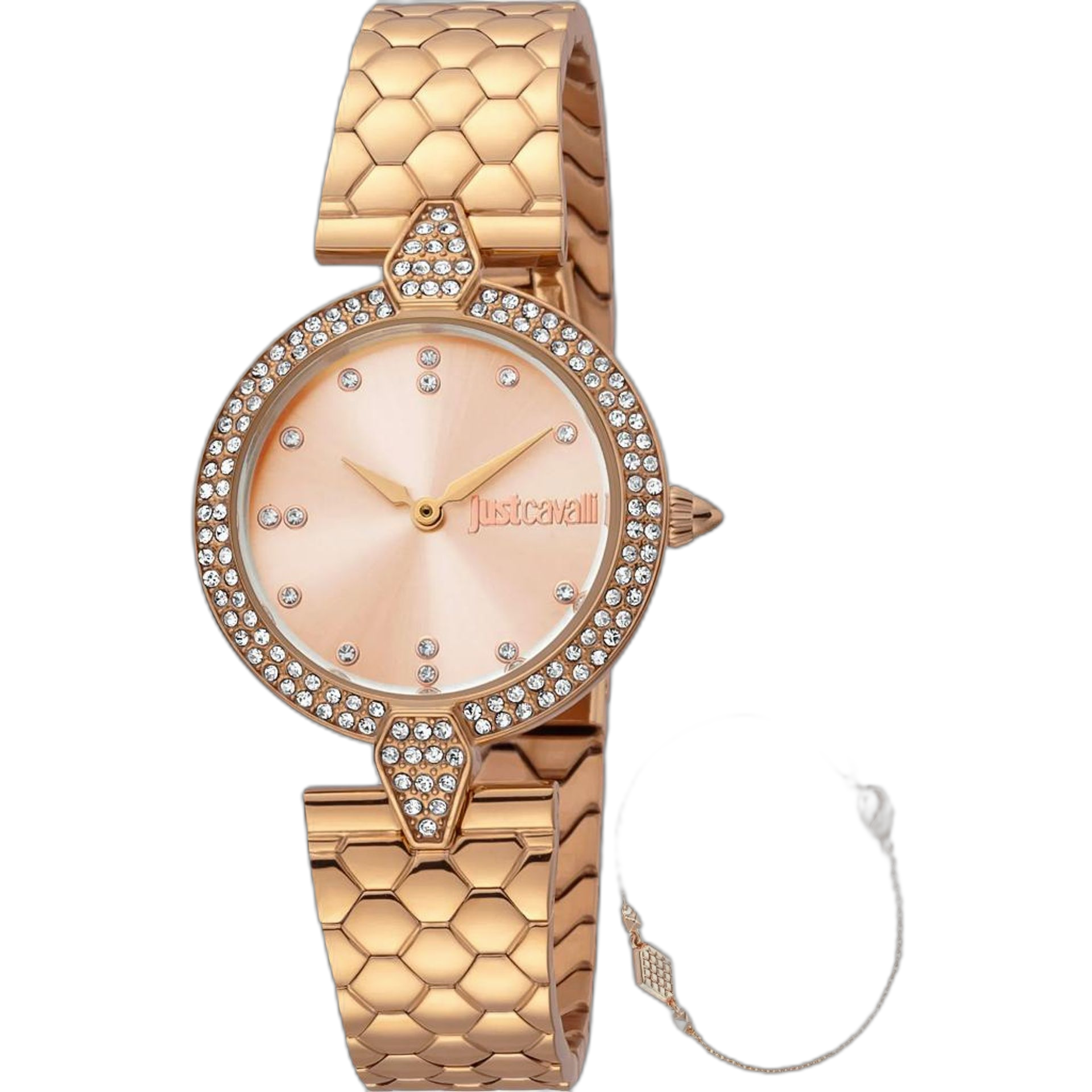Just Cavalli Watches (JC1L159M)