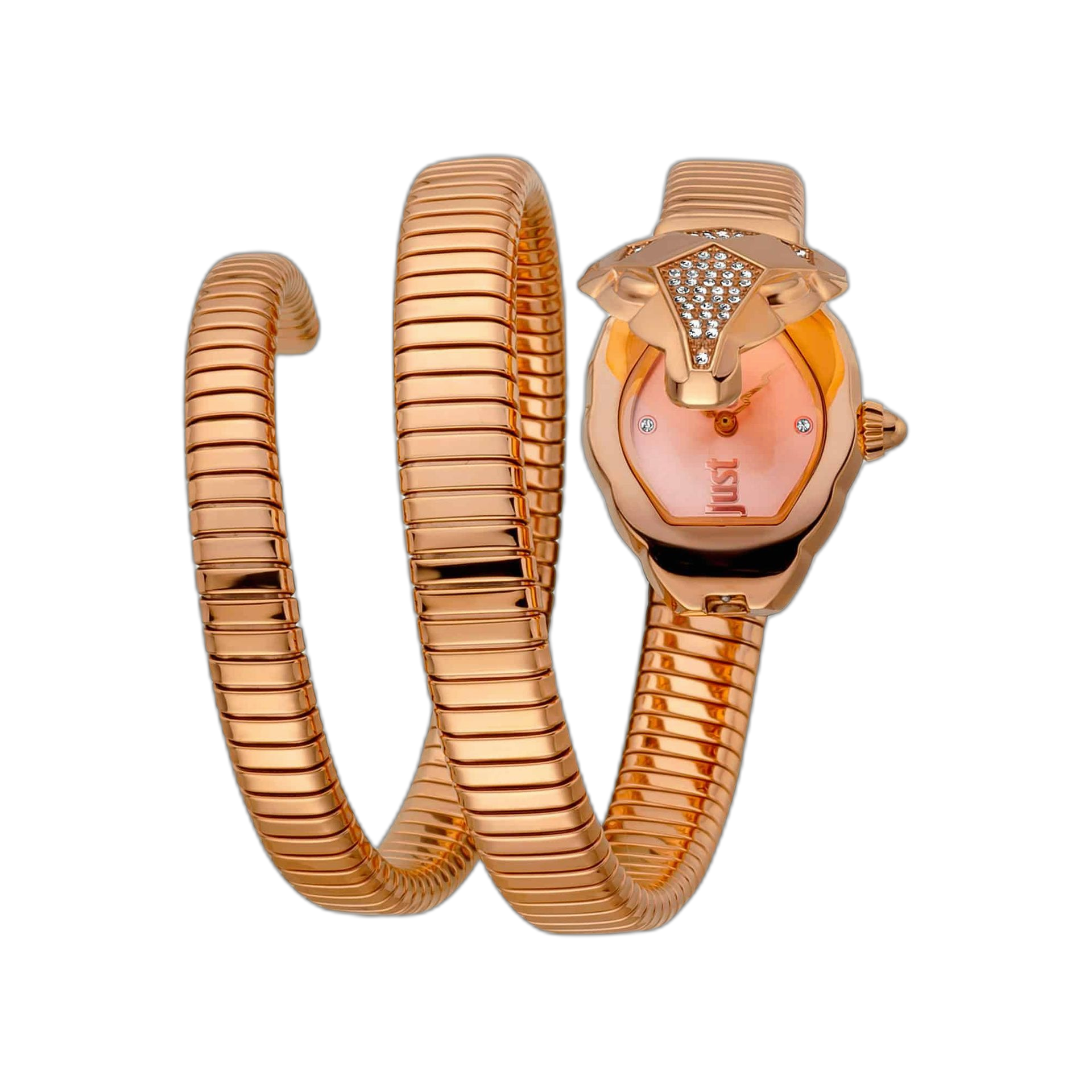 Just Cavalli Watches (JC1L073M0)