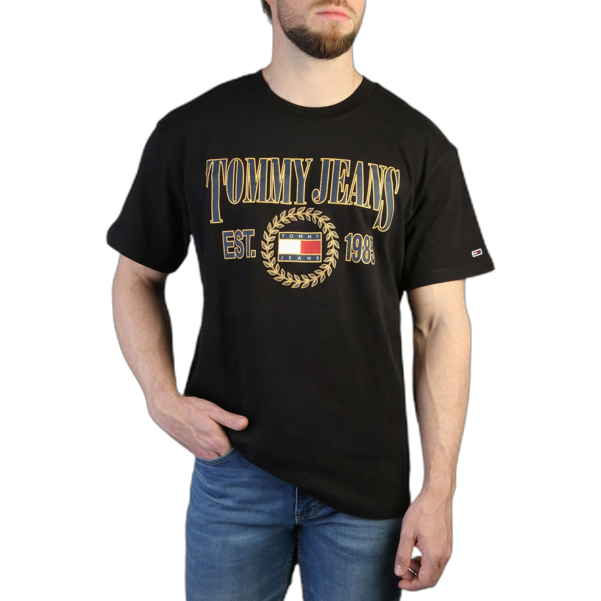 Tommy Hilfiger T-shirts (DM0DM16231)