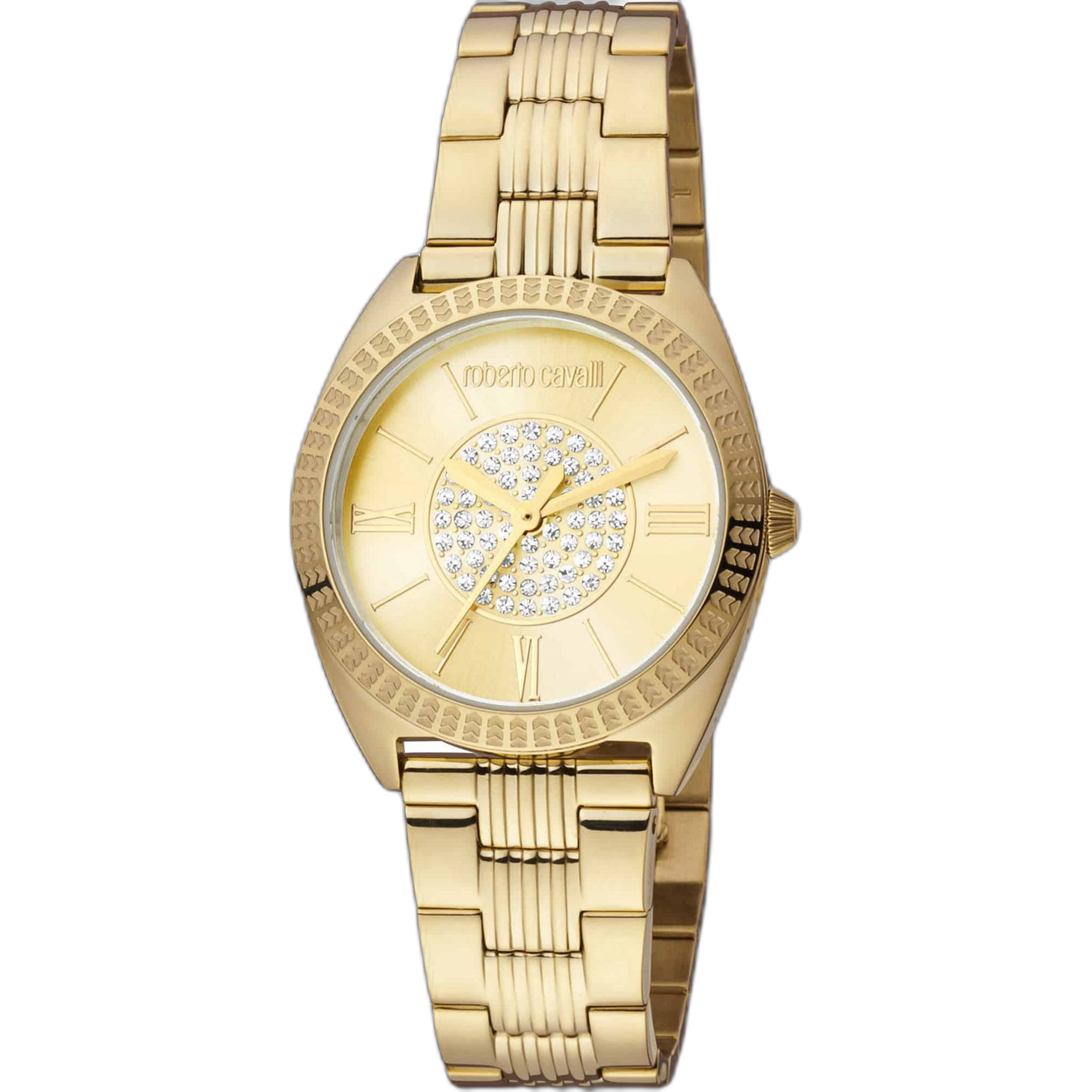 Roberto Cavalli Watches (RC5L022M)
