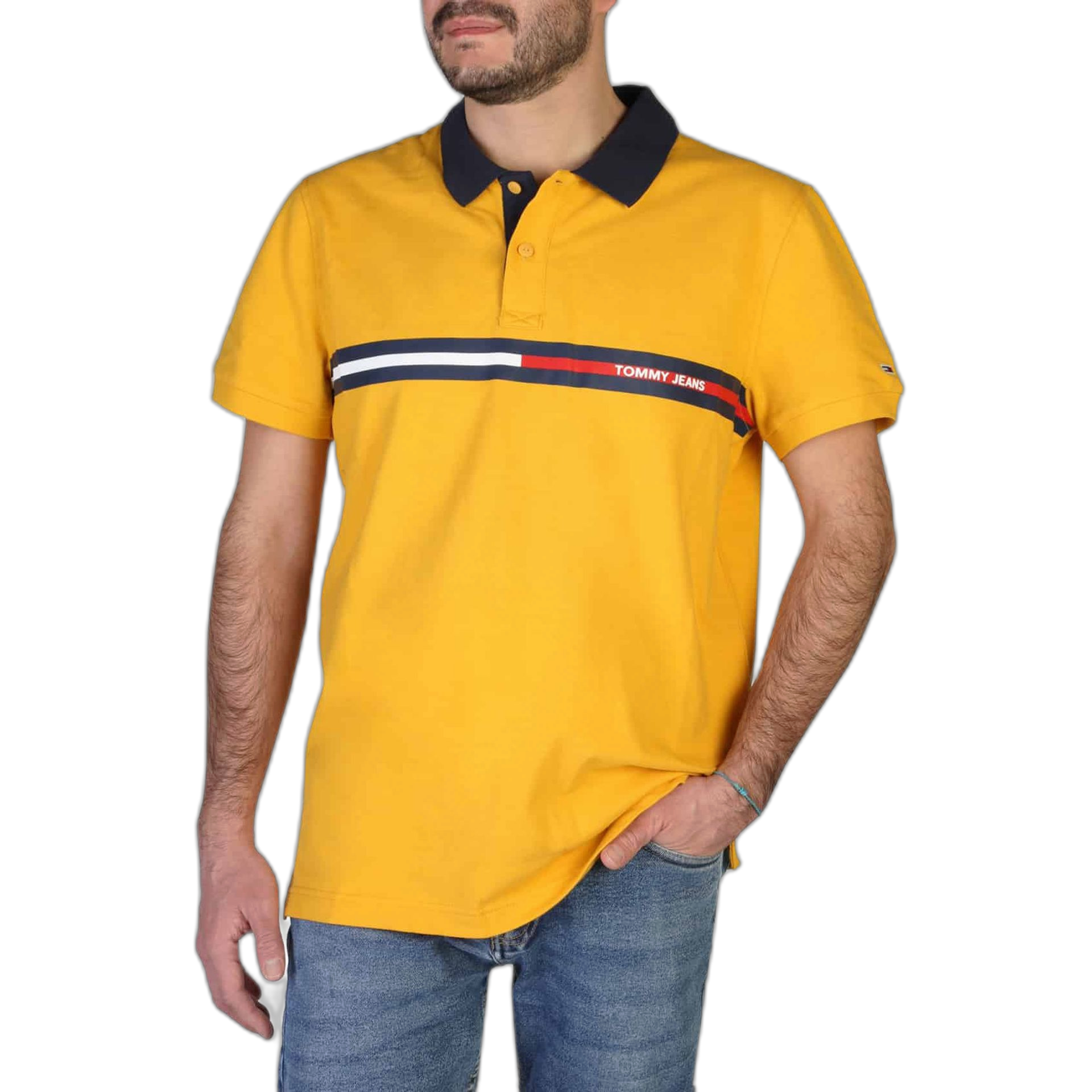 Tommy Hilfiger Polo (DM0DM13295)