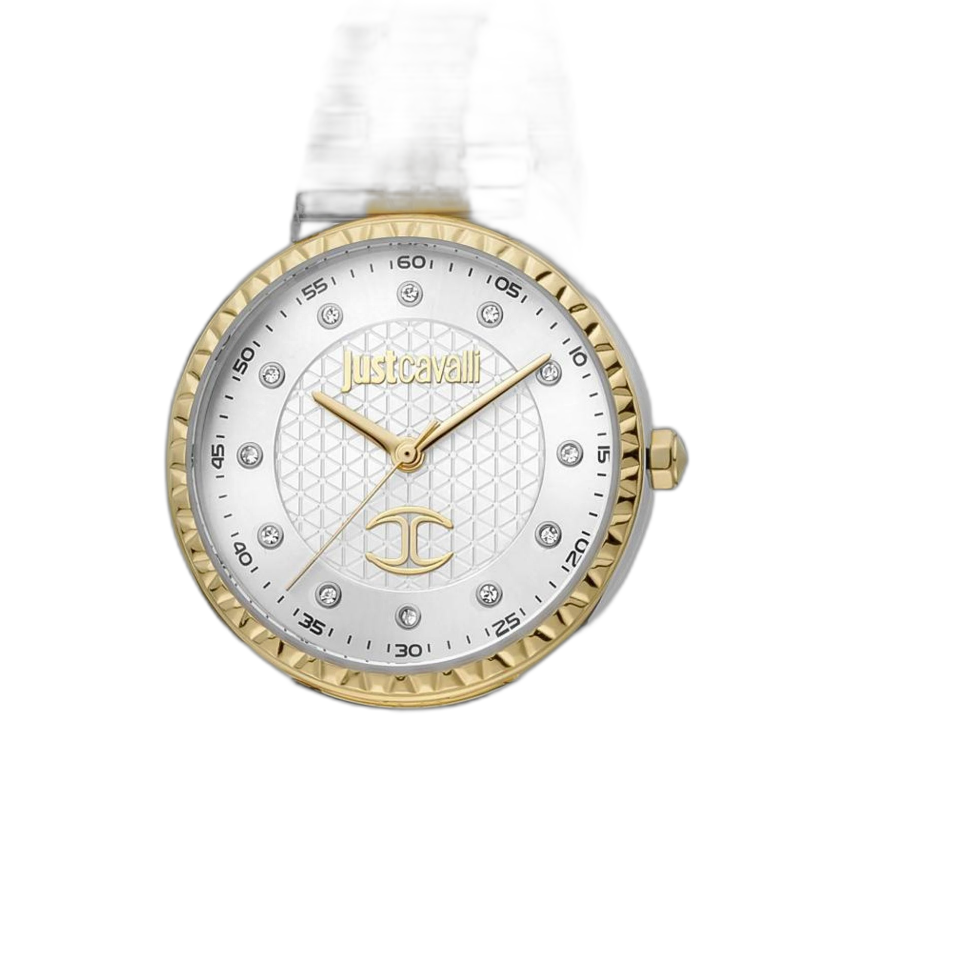 Just Cavalli Watches (JC1L176M)