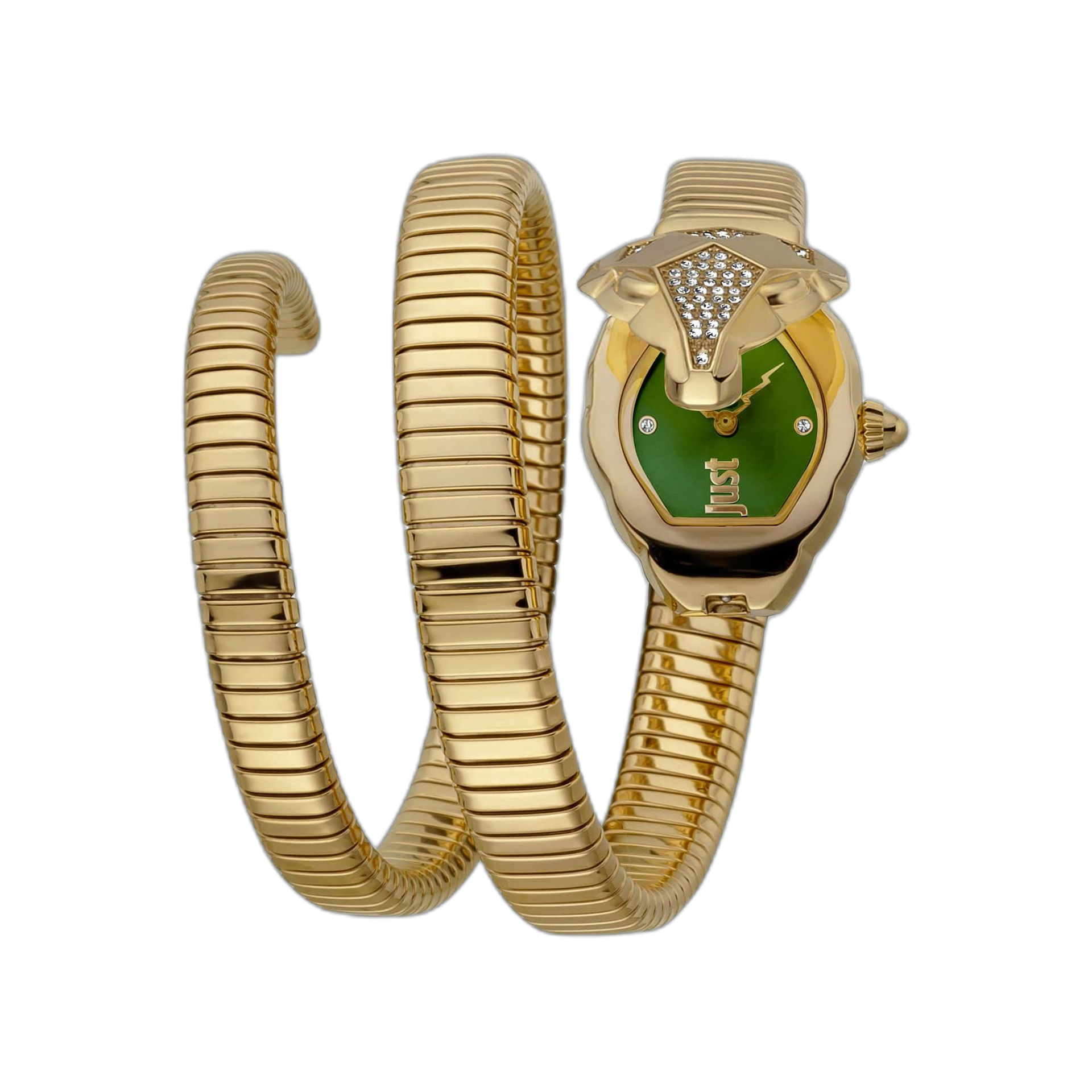 Just Cavalli Watches (JC1L073M0)
