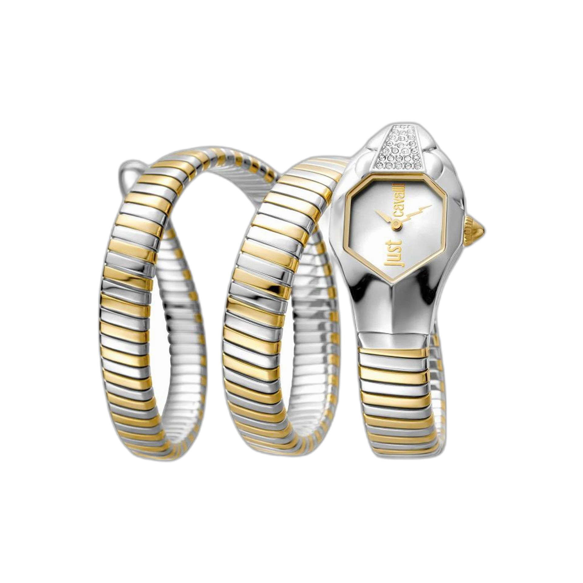 Just Cavalli Watches (JC1L022M)